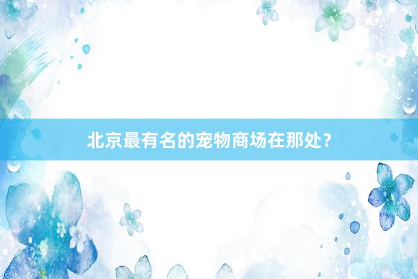 北京最有名的宠物商场在那处？