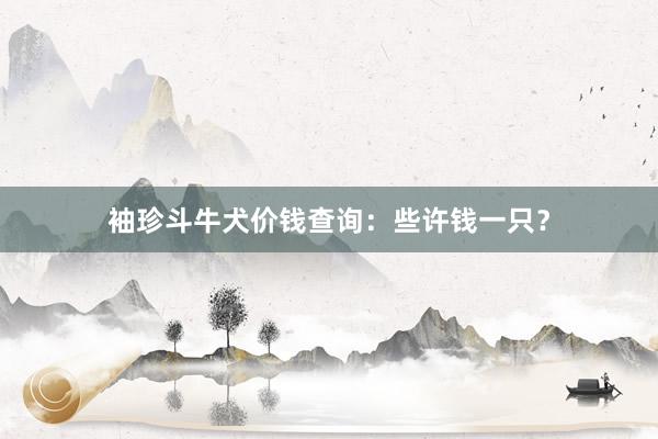 袖珍斗牛犬价钱查询：些许钱一只？